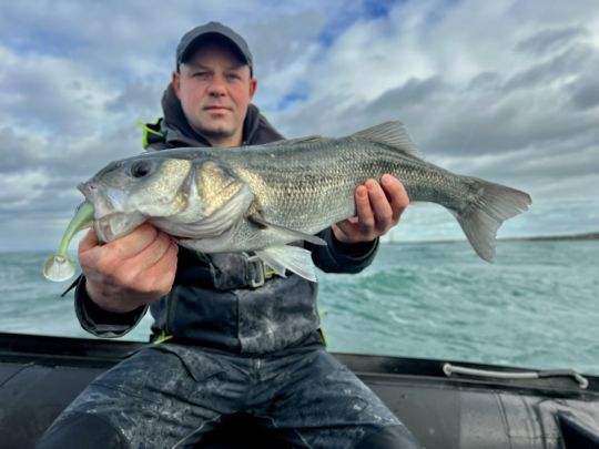 Lorsque la d&eacute;rive est bien plac&eacute;e et que le leurre est correctement anim&eacute; &agrave; l'aplomb du bateau, la sanction ne se fait pas attendre. En t&eacute;moigne ce joli bar pris sur une d&eacute;rive &agrave; plus de 5 n&oelig;uds.