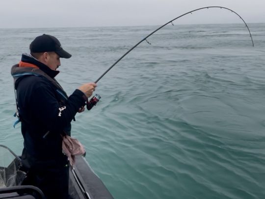 Puissante et tr&egrave;s r&eacute;sonnante , la NFC MB 739 de Rodhouse est l'arme parfaite pour ce type de p&ecirc;che.