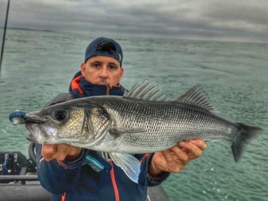 Compte tenu de la vitesse de d&eacute;rive, m&ecirc;me dans des faibles profondeurs, il est n&eacute;cessaire de plomber fortement vos leurres. Ici, un Black Minnow 160 sur une t&ecirc;te plomb&eacute;e de 60 grammes dans 10 m&egrave;tres d'eau.