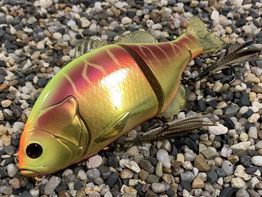 Le Gantarel est efficace sur le brochet.