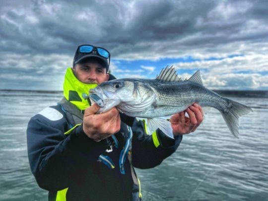 Le sondeur aura permis d&eacute;celer la pr&eacute;sence d'un banc de bars proche du fond. Sur la d&eacute;rive suivante, j'ai opt&eacute; pour un Fiiish Master Shad  afin d'aller les chercher proche du fond.