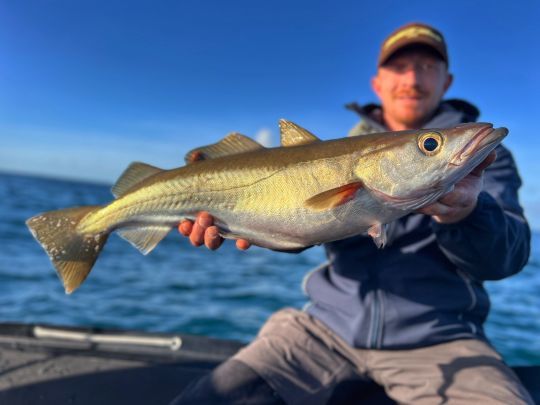 Une des derni&egrave;res journ&eacute;es de p&ecirc;che en 2025, avec de tr&egrave;s jolis poissons &agrave; la cl&eacute;.
