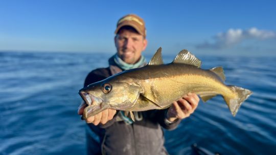 D&egrave;s les premi&egrave;res d&eacute;rives, le choix de la zone fut valid&eacute; par ce joli lieu jaune.