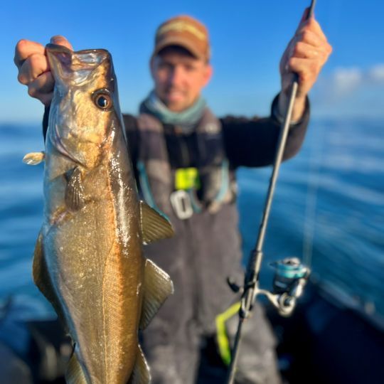 Face &agrave; ce magnifique lieu jaune, la Statement 724 a encore montr&eacute; toute sa capacit&eacute;. Une touche discr&egrave;te et un ferrage sec ont permis de piquer ce poisson.