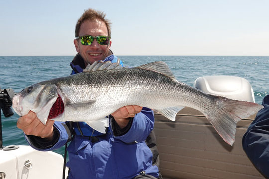 Le quota passe à 2 bars par pêcheur dans le sud du 48e