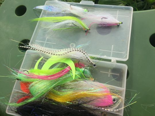 Les petits streamers lest&eacute;s en t&ecirc;te et de coloris flashy sont les plus employ&eacute;s pour tenter le sandre &agrave; la mouche. 