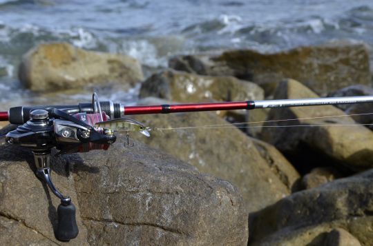 P&ecirc;cher les sars aux leurres