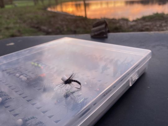La mouche du jour pour moi. Je piquerai une douzaine de poisson avec cette &eacute;mergente noire.