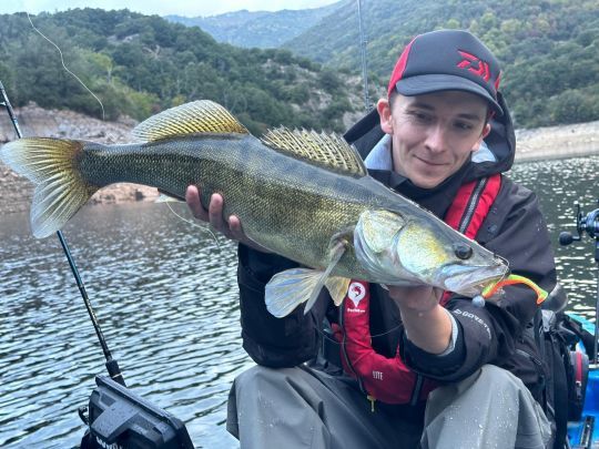 Un shad pour rechercher les carnassiers de diff&eacute;rentes fa&ccedil;ons.