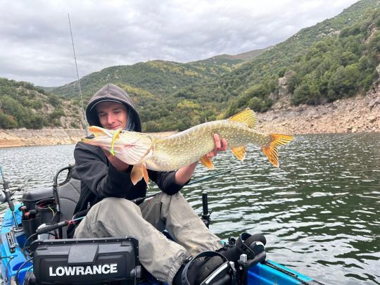 Cibler les jolis carnassiers.