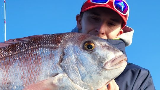 Diff&eacute;rentes fa&ccedil;ons de p&ecirc;cher le pagre.
