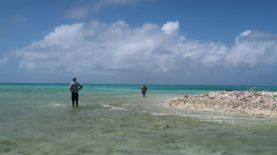 Connaitre les secteurs de passage et savoir reconnaitre un bonefish demande un peu de temps, et il faut r&eacute;p&eacute;ter les sorties ou voyages pour s'am&eacute;liorer dans la qu&ecirc;te de ce formidable poisson de sport