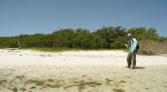 En fin de combat, il faut faire attention au dernier rush, puis amener son poisson dans le bord avant de s'en saisir une fois bien fatigu&eacute;