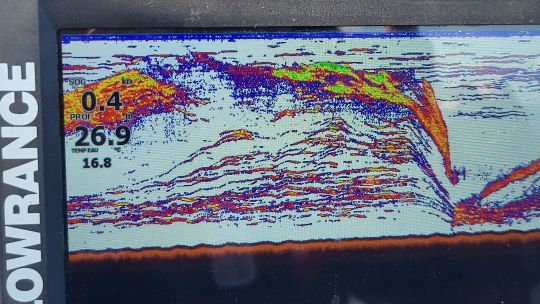 Les allaches sont l&agrave; !