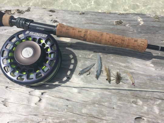 Ici une s&eacute;lection de l'auteur pour les bonefish de Los Roques. On notera le clouser minnow et le gummy &agrave; gauche sur la photo qui sont les plus utilis&eacute;s sur ces bonefish qui se nourrissent souvent de petits poissons
