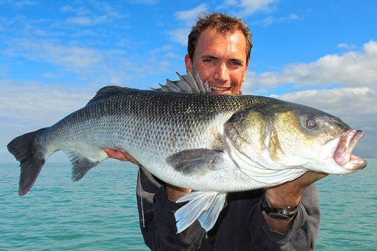 Les gros bars se prennent surtout aux coeff de plus de 65