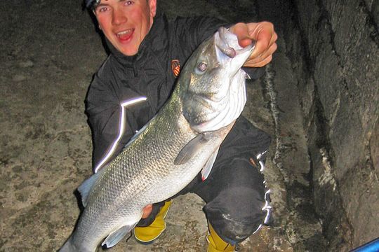 Je traque les gros bars du bord depuis pr&egrave;s de 25 ans