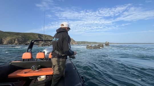 Lorsque cette technique est bien maîtrisée, le résultat est sans appel.