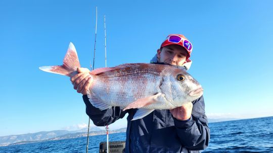 Rechercher les gros pagres en tra&icirc;ne lente.