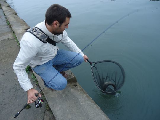 Les chevaines sont nombreux &agrave; la belle saison