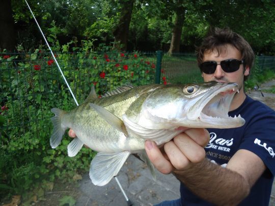 Le parcours est aussi propice &agrave; la traque du sandre du bord