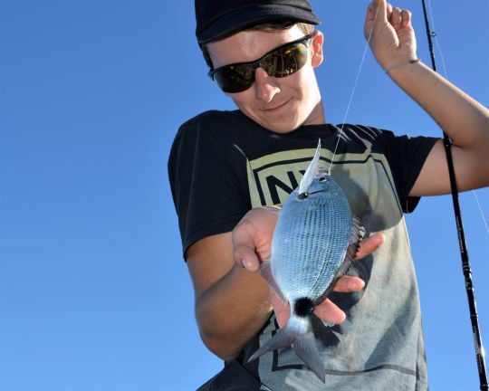 Différentes espèces à rechercher sur le sable.