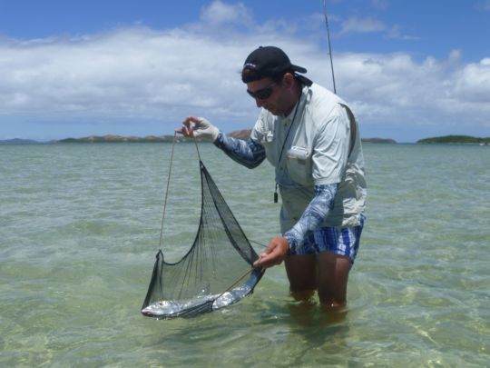 Lorsque l'on traque les gros poissons, certains p&ecirc;cheurs comme l'auteur, p&egrave;se et mesure leur poisson pour les "homologuer".
