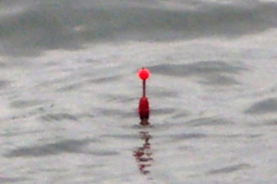 Le p&ecirc;cheur &agrave; la ligne subit une nouvelle mesure discriminatoire