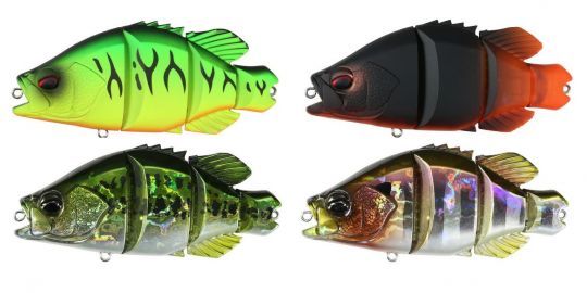 Les couleurs sont r&eacute;ussites ! 