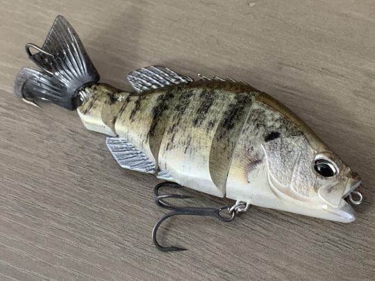 Le Snappy Crappie dans sa couleur White Crappie.