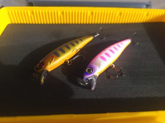 Le Tiny Fry 65 SP offre une nouvelle taille &agrave; un leurre de l&eacute;gende