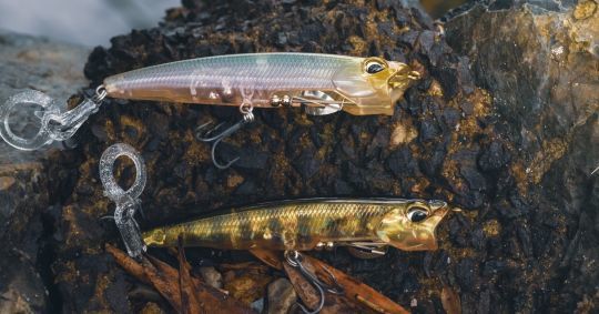 Heartbee : voici un leurre de chez Duo qui devrait bien fonctionner sur nos aspes