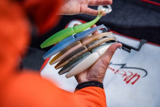 Le One Up V-Tail de Saiwamura est redoutable sur des poissons &eacute;duqu&eacute;s