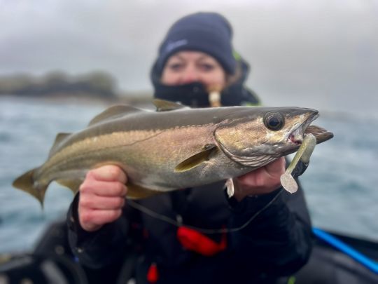 La pers&eacute;v&eacute;rance est toujours r&eacute;compens&eacute;e.