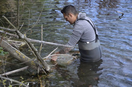 Placer les fray&egrave;res au bord du plan d'eau.