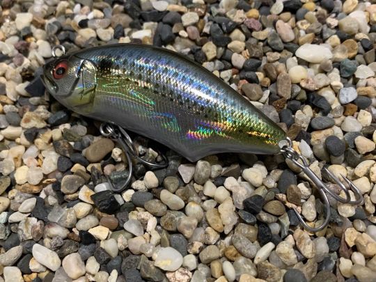 L'Hadara Trap mesure 8,9 cm.