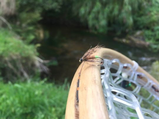 La noy&eacute;e cul vert est excellente pendant les &eacute;closions des sedges brachycentrus