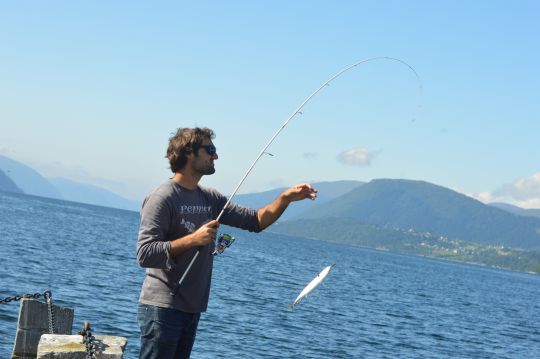 Les maquereaux sont combatifs et plaisant &agrave; combattre sur du mat&eacute;riel l&eacute;ger