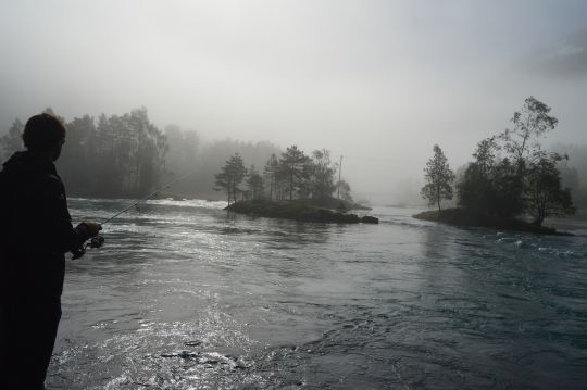 Les rivi&egrave;res sont magnifiques