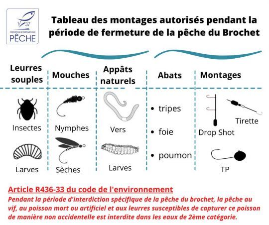 Dans l'Indre, il est interdit d'utiliser des leurres souples type worms pendant la fermeture brochet.