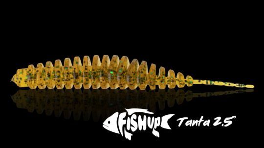 Cette imitation de larve est autoris&eacute;e officiellement en Charente-Maritime. Mais ce n'est pas le cas partout&hellip;