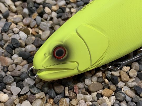 Un plomb en tête n'entrave pas sa nage.