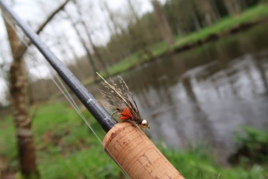 Le streamer veron paonne de Florian Stephan est tr&egrave;s efficace sur les truites