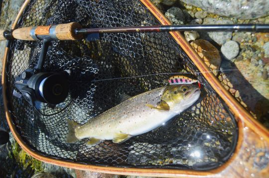 Les PN fait main ajoute de "la mani&egrave;re" &agrave; la traque des salmonid&eacute;s au leurre