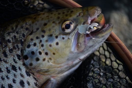 Les disponibilit&eacute;s des PN fait main sont limit&eacute;s