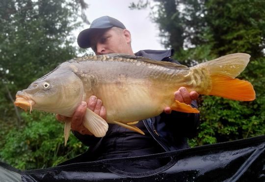 Pêcher au feeder est source d'observation…et réserve parfois de très jolies surprises !