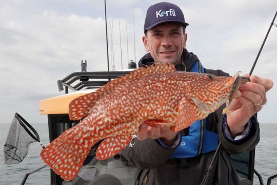 De nombreuses esp&egrave;ces ne font pas partie des poissons &agrave; d&eacute;clarer