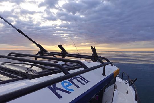 De retour de la p&ecirc;che, avant minuit, les poissons concern&eacute;s devront &ecirc;tre d&eacute;clar&eacute;s