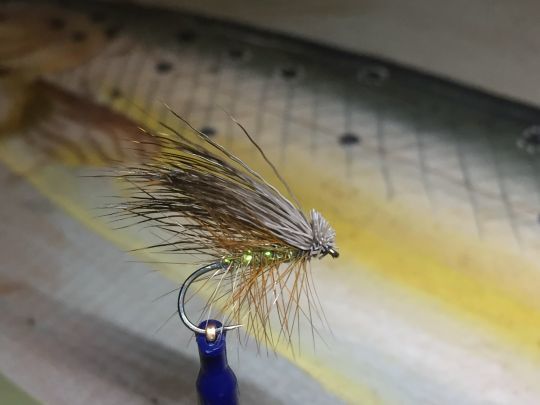 Le Elk Hair Caddis est une mouche &agrave; la fois incitative et imitative