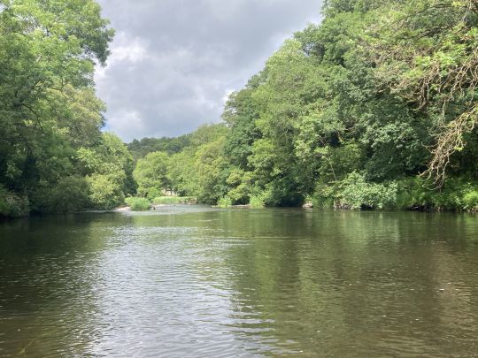 Que ce soit en petite ou grande rivi&egrave;re, rapide ou lente, le Elk Hair Caddis vous permettra de prendre des truites un peu partout en France et &agrave; l'&eacute;tranger